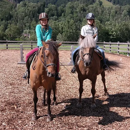 Heisshof Maison d'hôtes Schladming