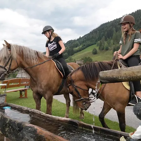 Heisshof Schladming