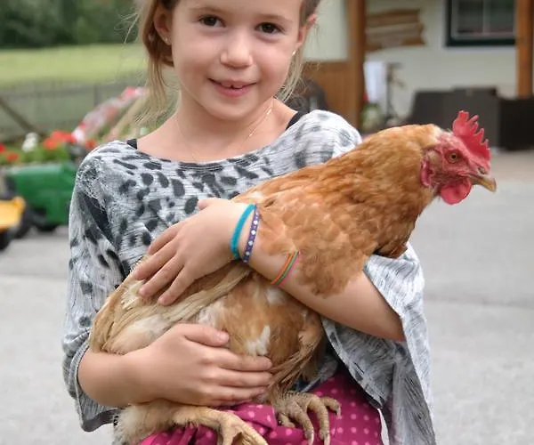 Heisshof Πανσιόν