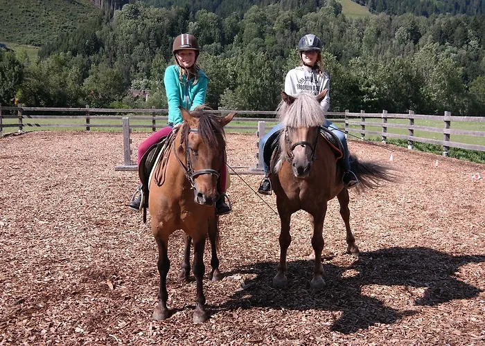 Heisshof Πανσιόν Schladming