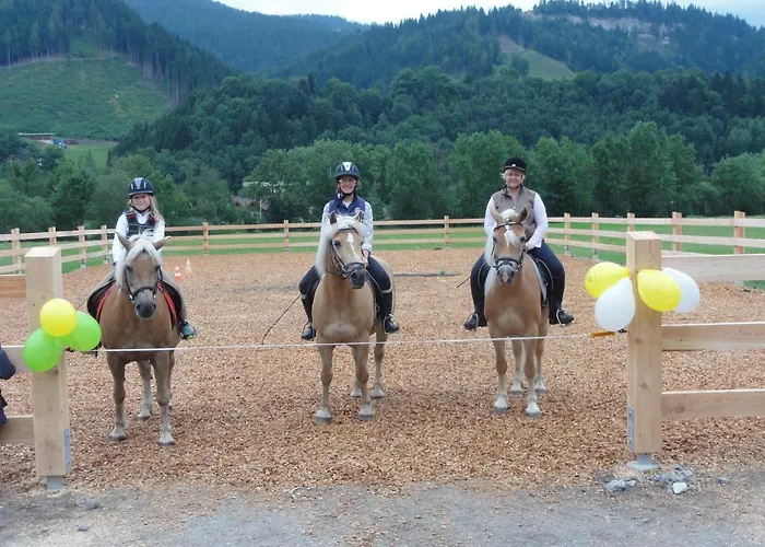 Guest house Heisshof Schladming